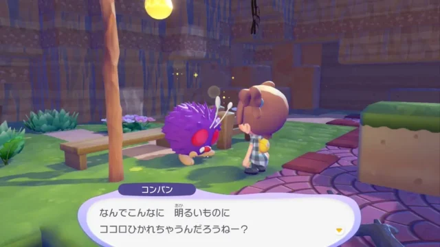 コンパンの生息地