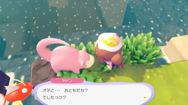 ヤドンの生息地