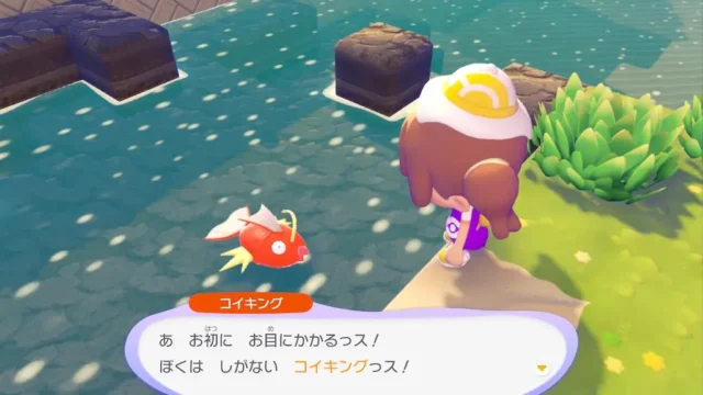 コイキングの生息地