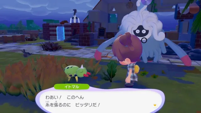 イトマルの生息地