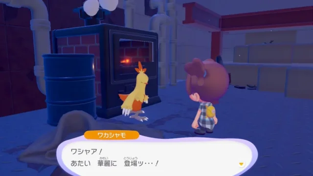 ワカシャモの生息地