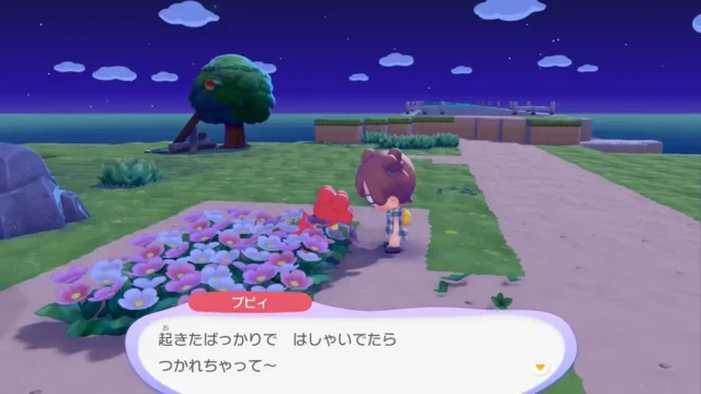 ブビィの生息地