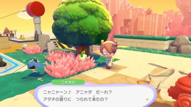 ニャオハの生息地