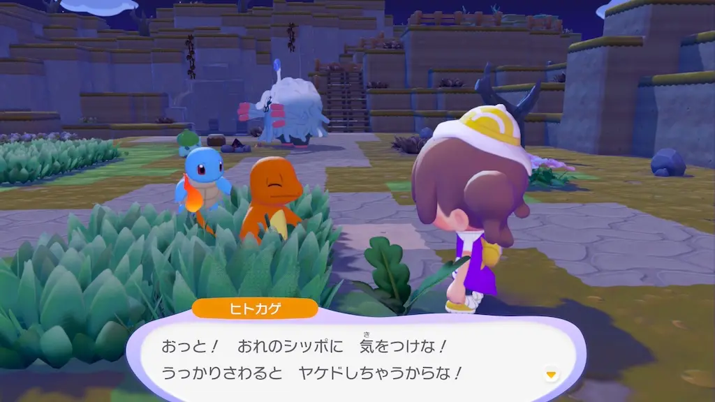 ヒトカゲとの出会い