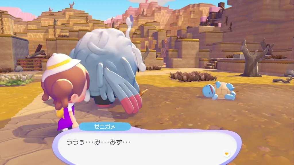 ゼニガメとの出会い