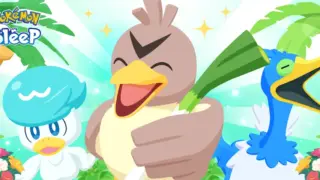 サマーフェスティバル2025