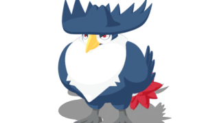 ドンカラス