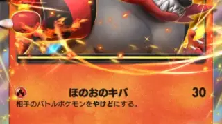 ガオガエンex双天の守護者