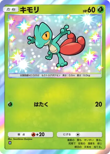 キモリ