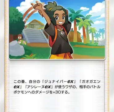 ハウイーブイガーデン