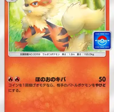 ウインディプロモビー013番