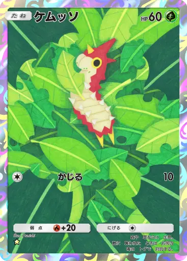 ケムッソ