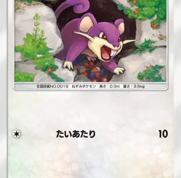 コラッタシャイニングハイ