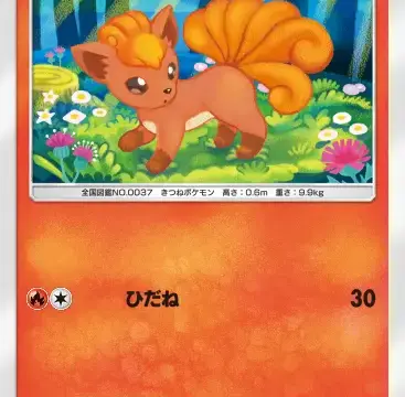 ロコン空と海の導き