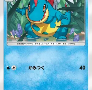 アリゲイツ空と海の導き