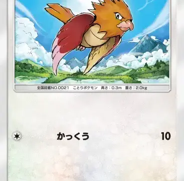 オニスズメ空と海の導き