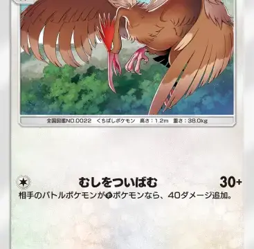オニドリル空と海の導き