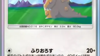 カード｜ポケらく