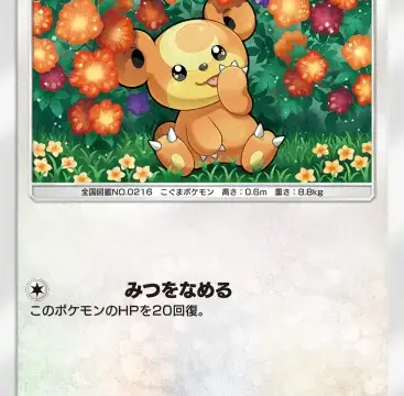 ヒメグマ空と海の導き
